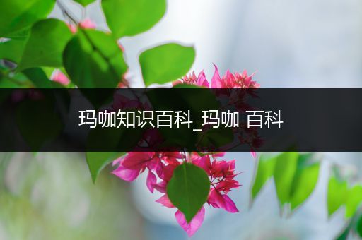 玛咖知识百科_玛咖 百科