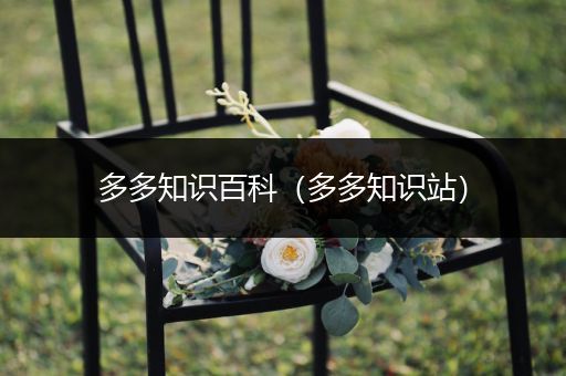 多多知识百科（多多知识站）