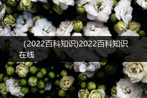 （2022百科知识)2022百科知识在线