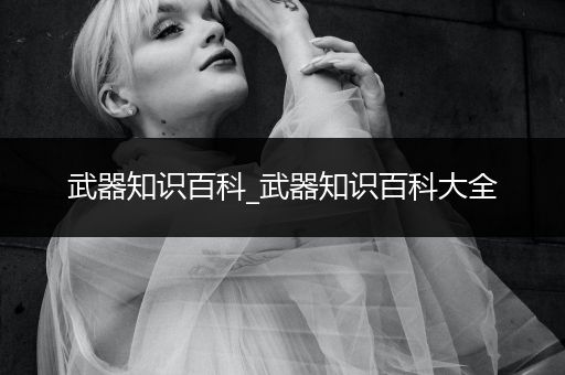 武器知识百科_武器知识百科大全
