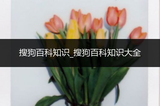 搜狗百科知识_搜狗百科知识大全