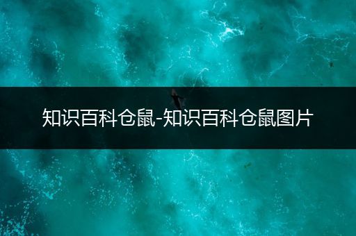知识百科仓鼠-知识百科仓鼠图片