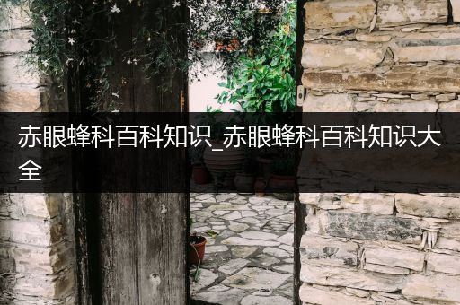 赤眼蜂科百科知识_赤眼蜂科百科知识大全