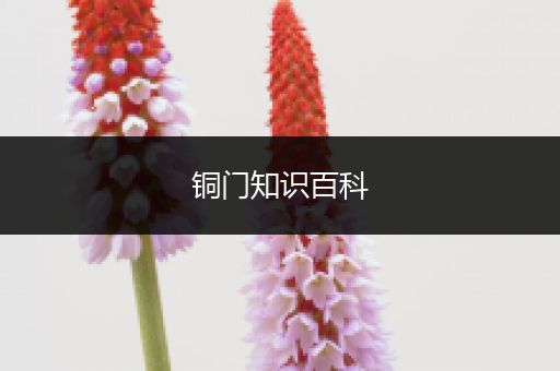 铜门知识百科