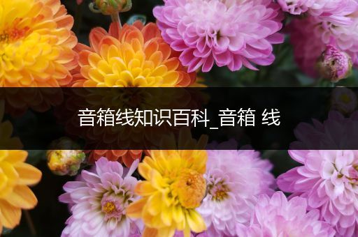 音箱线知识百科_音箱 线