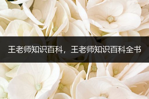 王老师知识百科，王老师知识百科全书