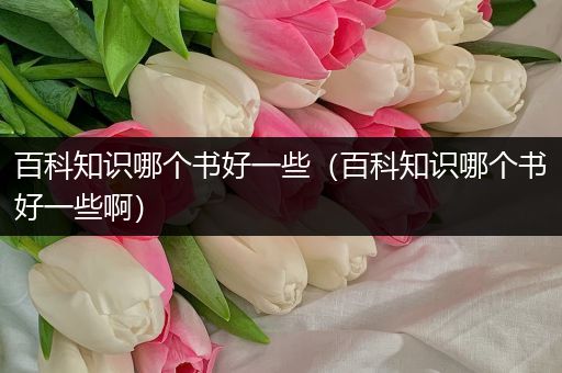 百科知识哪个书好一些（百科知识哪个书好一些啊）