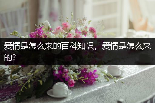 爱情是怎么来的百科知识，爱情是怎么来的?