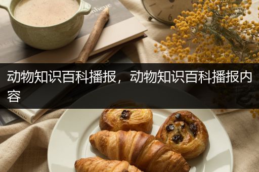 动物知识百科播报，动物知识百科播报内容