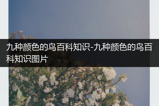 九种颜色的鸟百科知识-九种颜色的鸟百科知识图片