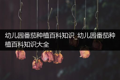 幼儿园番茄种植百科知识_幼儿园番茄种植百科知识大全