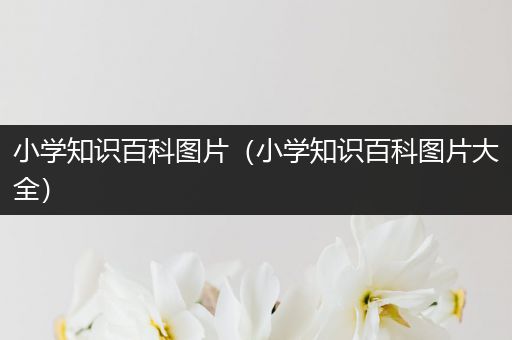 小学知识百科图片（小学知识百科图片大全）