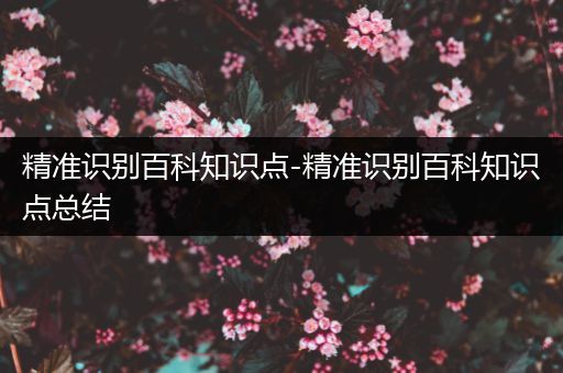 精准识别百科知识点-精准识别百科知识点总结