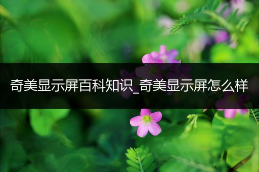奇美显示屏百科知识_奇美显示屏怎么样