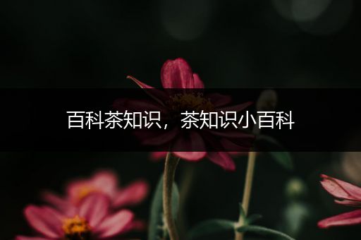 百科茶知识，茶知识小百科