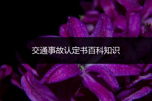 交通事故认定书百科知识
