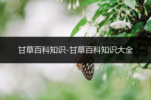 甘草百科知识-甘草百科知识大全