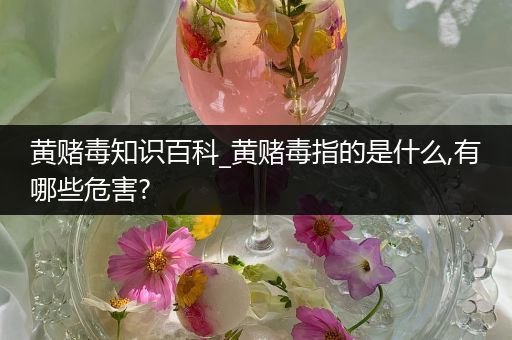 黄赌毒知识百科_黄赌毒指的是什么,有哪些危害?