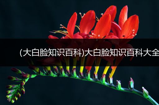 （大白脸知识百科)大白脸知识百科大全