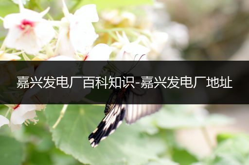 嘉兴发电厂百科知识-嘉兴发电厂地址