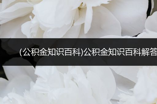 （公积金知识百科)公积金知识百科解答