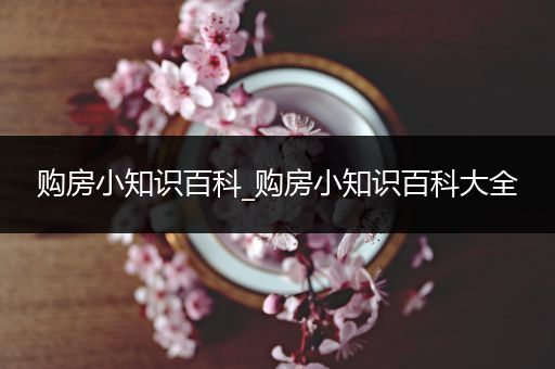 购房小知识百科_购房小知识百科大全