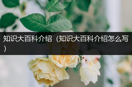 知识大百科介绍（知识大百科介绍怎么写）