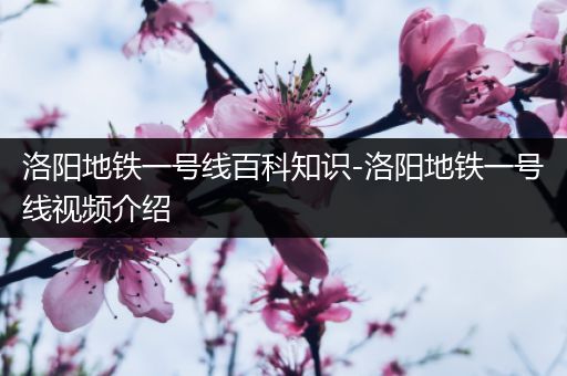 洛阳地铁一号线百科知识-洛阳地铁一号线视频介绍