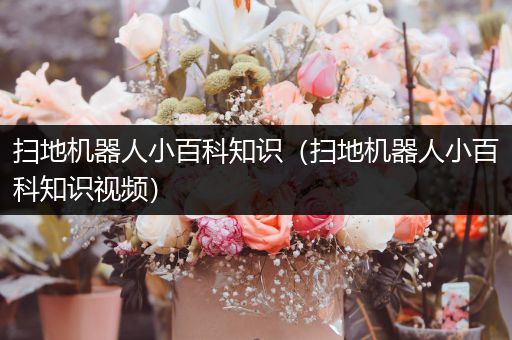 扫地机器人小百科知识（扫地机器人小百科知识视频）
