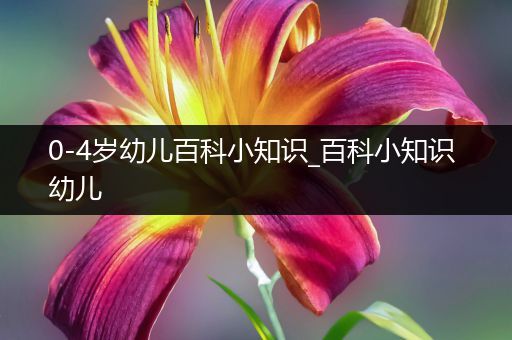 0-4岁幼儿百科小知识_百科小知识 幼儿
