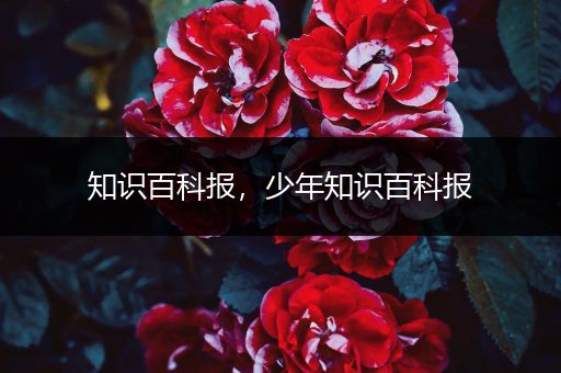 知识百科报，少年知识百科报