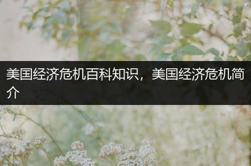 美国经济危机百科知识，美国经济危机简介