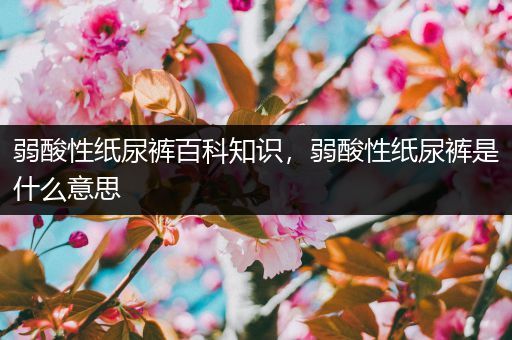 弱酸性纸尿裤百科知识，弱酸性纸尿裤是什么意思