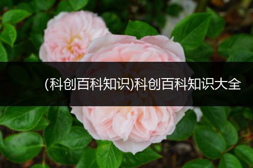 （科创百科知识)科创百科知识大全