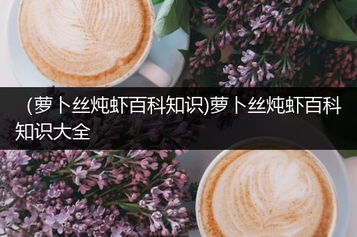 （萝卜丝炖虾百科知识)萝卜丝炖虾百科知识大全