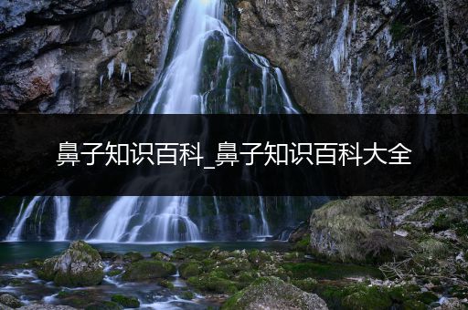 鼻子知识百科_鼻子知识百科大全