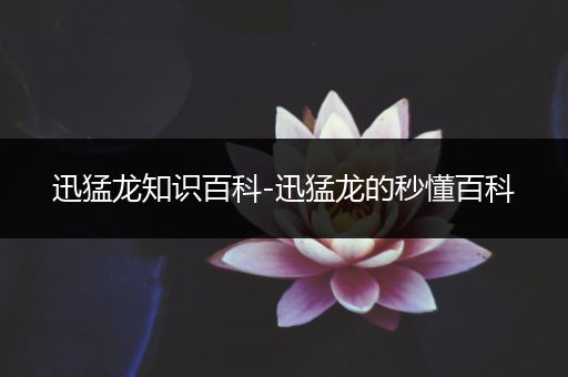 迅猛龙知识百科-迅猛龙的秒懂百科