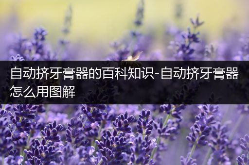 自动挤牙膏器的百科知识-自动挤牙膏器怎么用图解