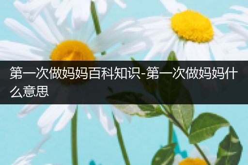 第一次做妈妈百科知识-第一次做妈妈什么意思