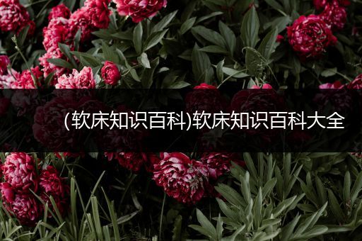 （软床知识百科)软床知识百科大全