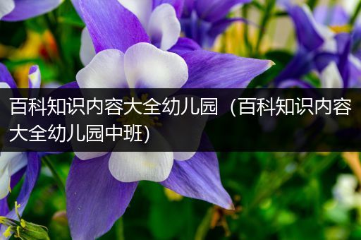 百科知识内容大全幼儿园（百科知识内容大全幼儿园中班）