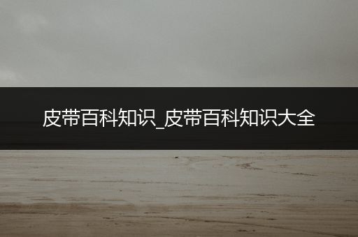 皮带百科知识_皮带百科知识大全