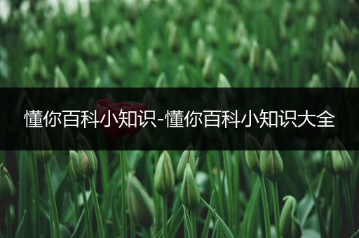 懂你百科小知识-懂你百科小知识大全