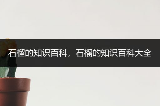 石榴的知识百科，石榴的知识百科大全