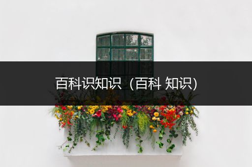 百科识知识（百科 知识）
