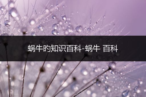 蜗牛旳知识百科-蜗牛 百科