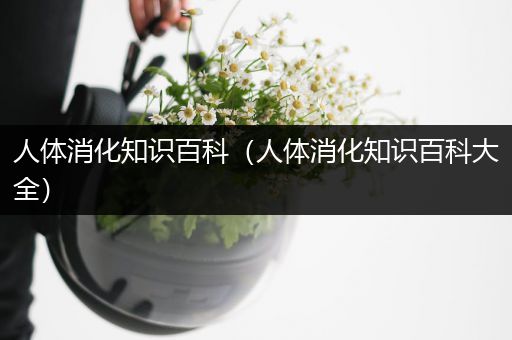 人体消化知识百科（人体消化知识百科大全）