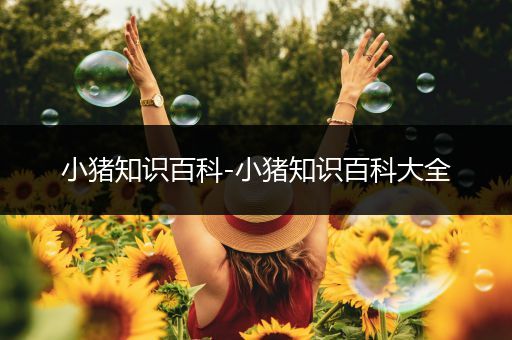 小猪知识百科-小猪知识百科大全