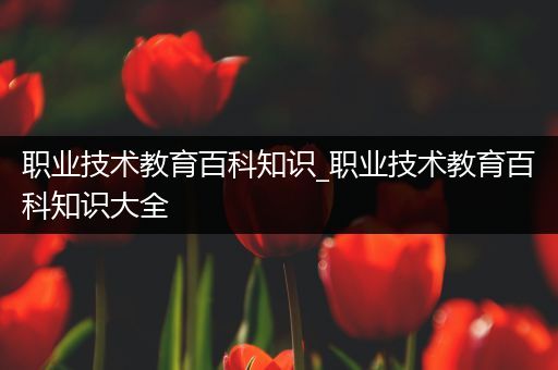 职业技术教育百科知识_职业技术教育百科知识大全