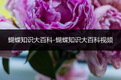 蝴蝶知识大百科-蝴蝶知识大百科视频